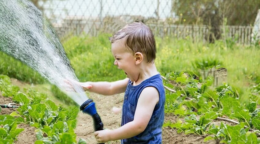best irrigation system for vegetable garden