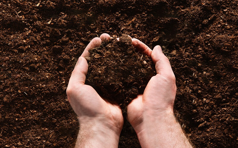 how to prepare soil for vegetable gardening