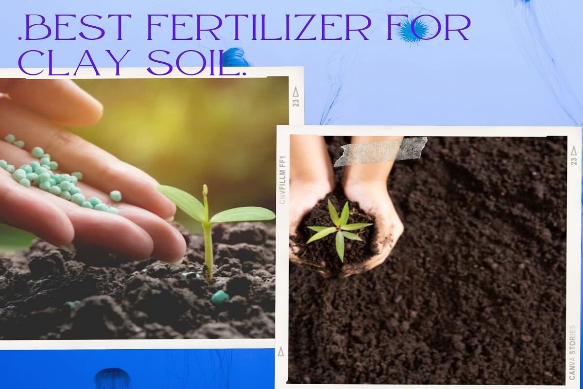 best fertilizer for clay soil