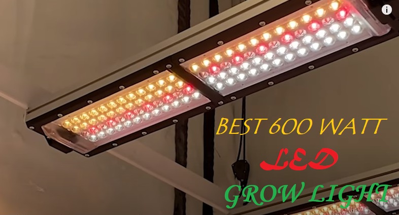 best 600 watt led grow light