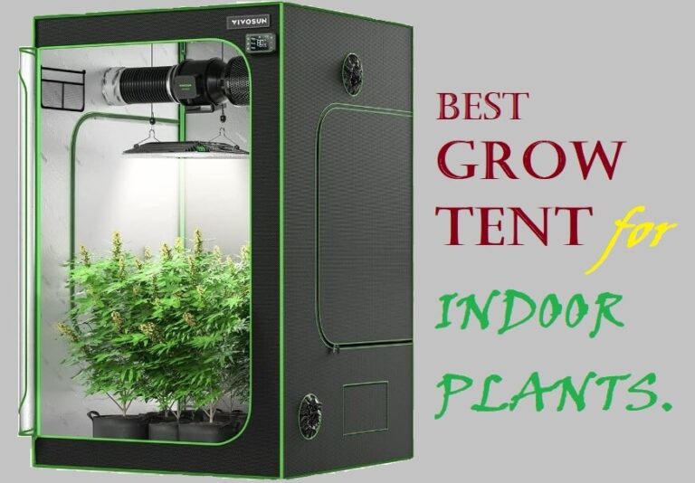 Top 10 Best Grow Tents for Indoor Plants In 2023 [Detailed Reviews ...